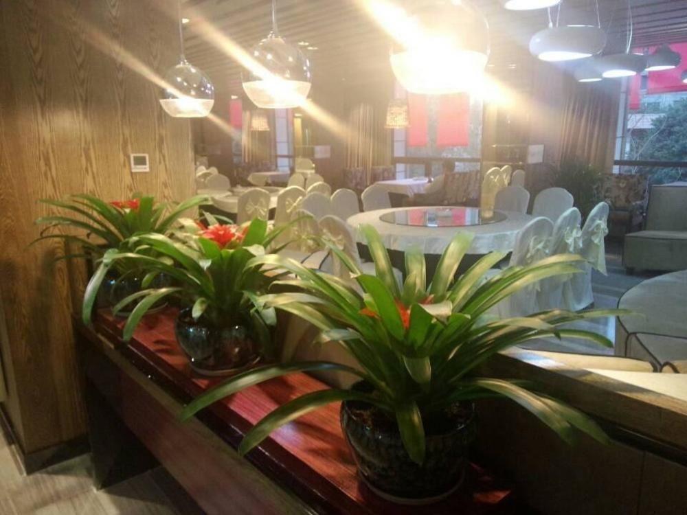 Chengdu Hello Hotel CTU Exteriör bild